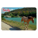 Suche nach sizilien magnete Kurios