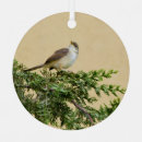 Recherche de moineaux ornements Oiseau