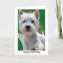 Suche nach weißer terrier karten Westie