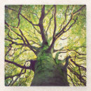 Suche nach moos untersetzer Holz