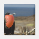 Suche nach galapagos magnete Nationalpark
