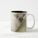 Recherche de papier peint tasses Animal