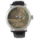 Recherche de panthera accessoires Carnivore