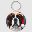 Recherche de saint bernard accessoires Mignon