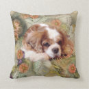 Suche nach blenheim kissen Charles