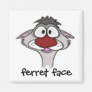 Recherche de furet magnets Belette