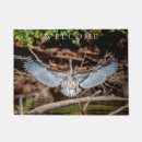 Suche nach graureiher Watender vogel