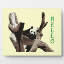 Suche nach wild fotoplatten Tier