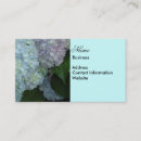 Recherche de hortensia bleu cartes visite Photographie florale