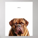 Suche nach dogue poster Mastiff
