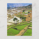 Recherche de yunnan cartes postales Pente