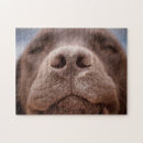 Suche nach nase puzzle Tier