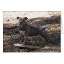 Suche nach eile Hund