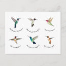 Recherche de colibris mignons cartes postales Nature