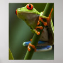 Suche nach scale poster Nature