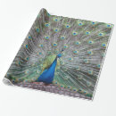 Suche nach schwarze federn geschenkpapier Vogel