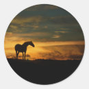 Recherche de silhouette cheval autocollants Équin