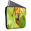 Suche nach schnecken laptop schutzhüllen Natur