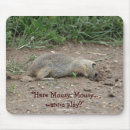 Recherche de mousepad faune tapis souris Photographie animale