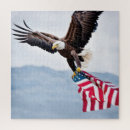 Suche nach patriotischer adler puzzle Kahladler