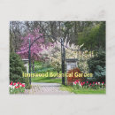 Recherche de arbre tulipe cartes postales Floral