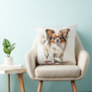 Suche nach papillon kissen Welpe