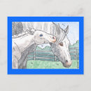 Recherche de poulain jument posters Mare