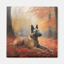 Recherche de malinois magnets Animal