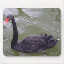 Suche nach schwarzer schwan mousepads Tier