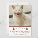 Suche nach cat christmas karten Urlaubsgrüße