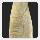 Recherche de gallo autocollants 01e