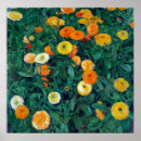 Suche nach koloman Blume