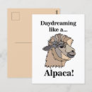 Suche nach alpaca postkarten Modern
