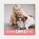 Recherche de paw magnets Pour tous