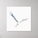 Suche nach vogelliebhaber leinwandbilder Wildtiere