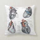 Recherche de artères Cardiologie