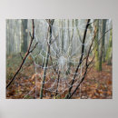 Recherche de orb posters Web