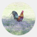 Suche nach wurzel aufkleber Hühner