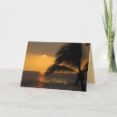 Suche nach hawaii sonne Baum