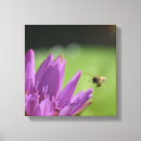Recherche de miel impressions sur toile Photographie