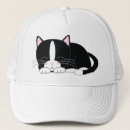 Suche nach kätzchen kappen Kitty