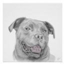 Recherche de pitbull posters Terrier