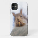 Recherche de rongeurs iphone coques Faune