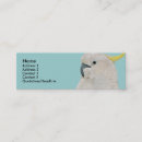 Recherche de cacatoès cartes visite Oiseau