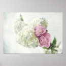 Recherche de hortensia rose posters Bleu