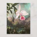 Suche nach vintage botanische illustration postkarten Blumenreich