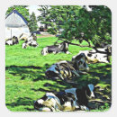 Recherche de vaches autocollants Ferme