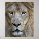 Suche nach zoo poster Tierwelt