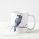 Recherche de blue jays tasses Faune