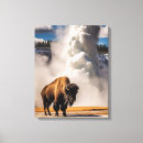 Suche nach büffel poster leinwandbilder Gelbstein